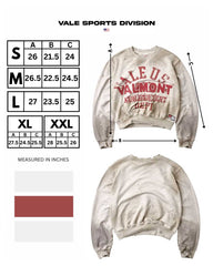 Vale Forever Valemont Pullover Crewneck Grey